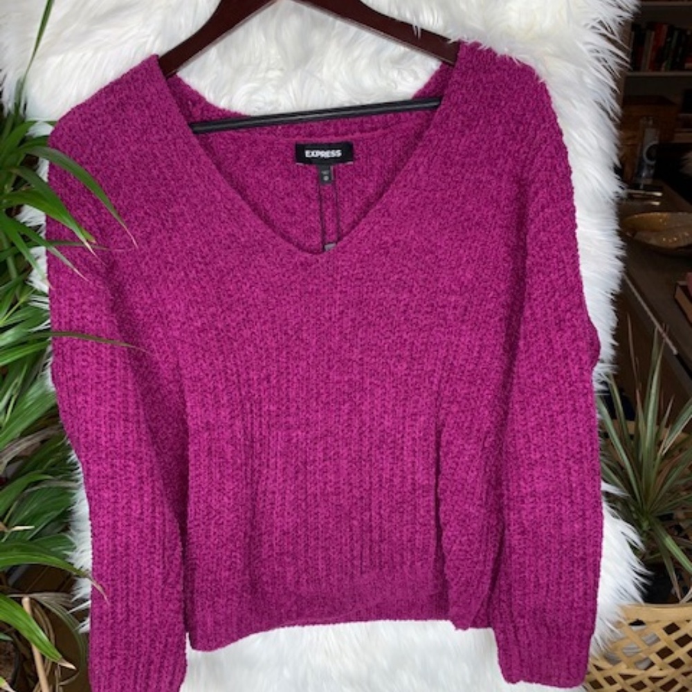 Express Women's V-Neck Soft Sweater in Pink